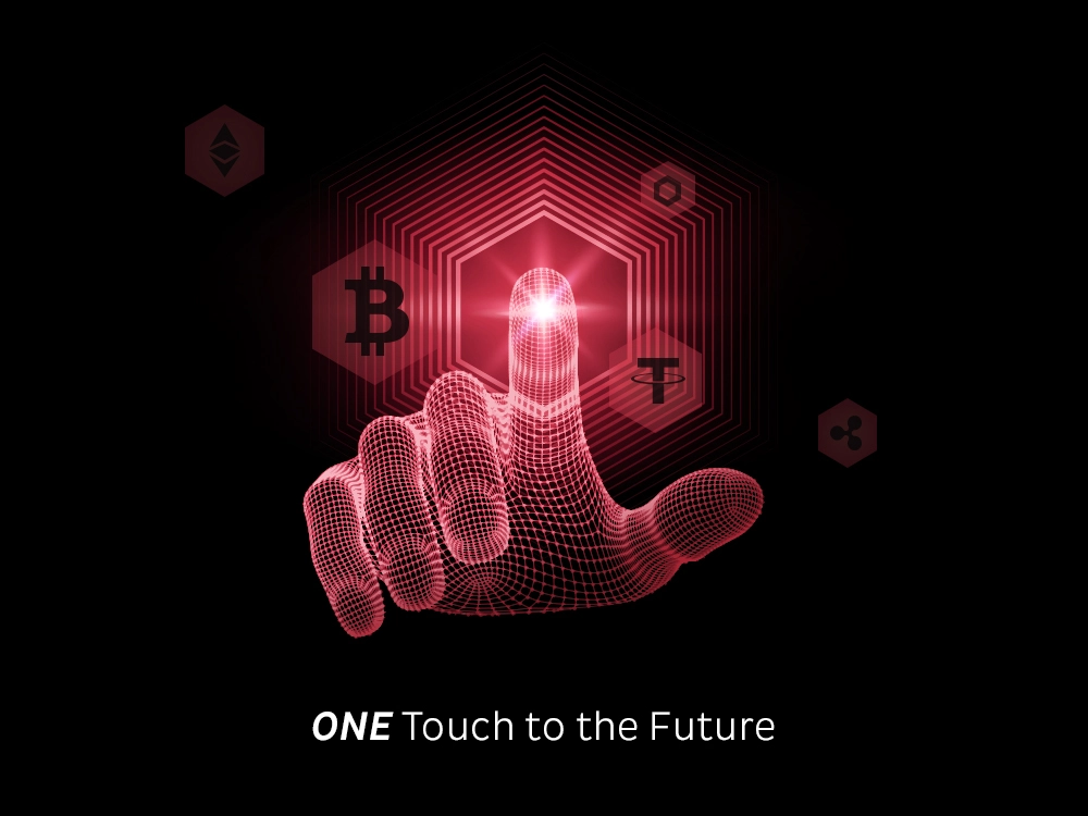 narkasa-marka-gorsel-kimlik-tasarimi